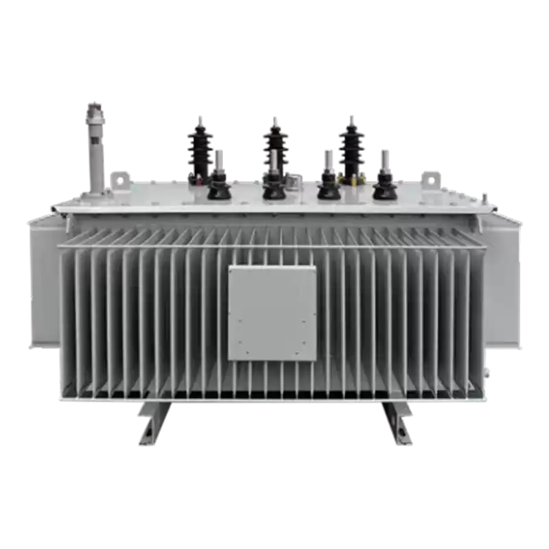 Oil-immersed Amorphous Alloy Core Transformer